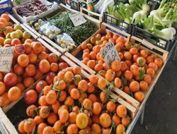 Small Group Shopping at the Florence Central Market with Cooking Class & Lunch